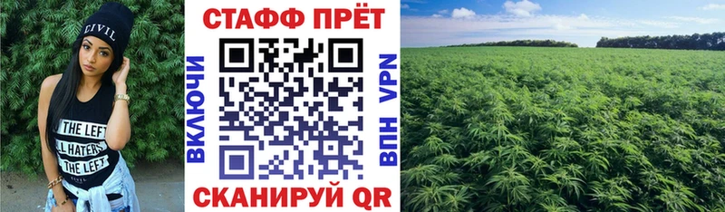 Наркошоп Воркута Галлюциногенные грибы  MEGA tor  ГАШ  МЕФ  Марихуана  Амфетамин 