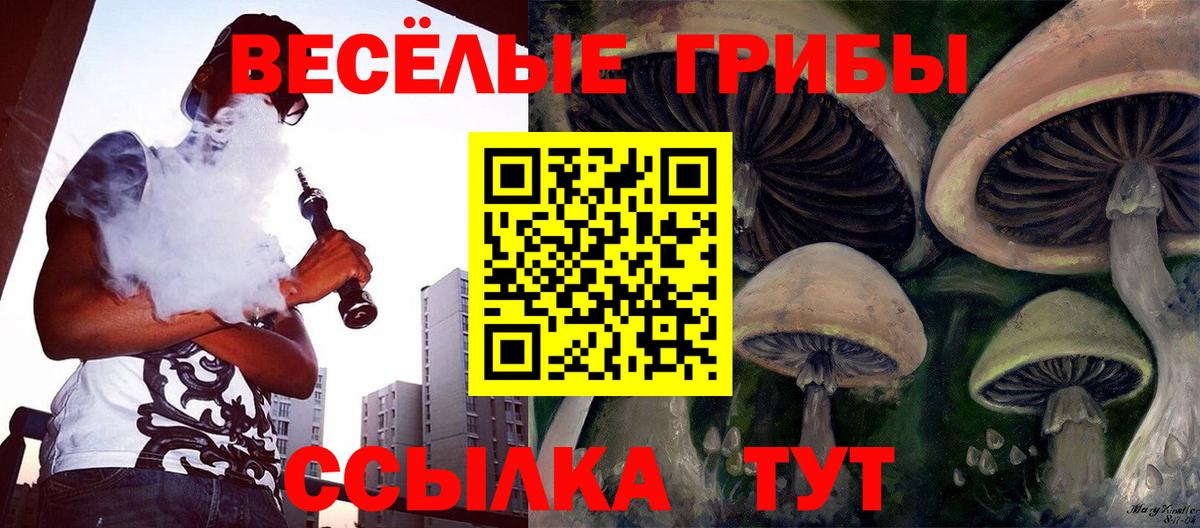 Псилоцибиновые грибы GOLDEN TEACHER  Вход с VPN  Воркута  Галлюциногенные грибы мухоморы 